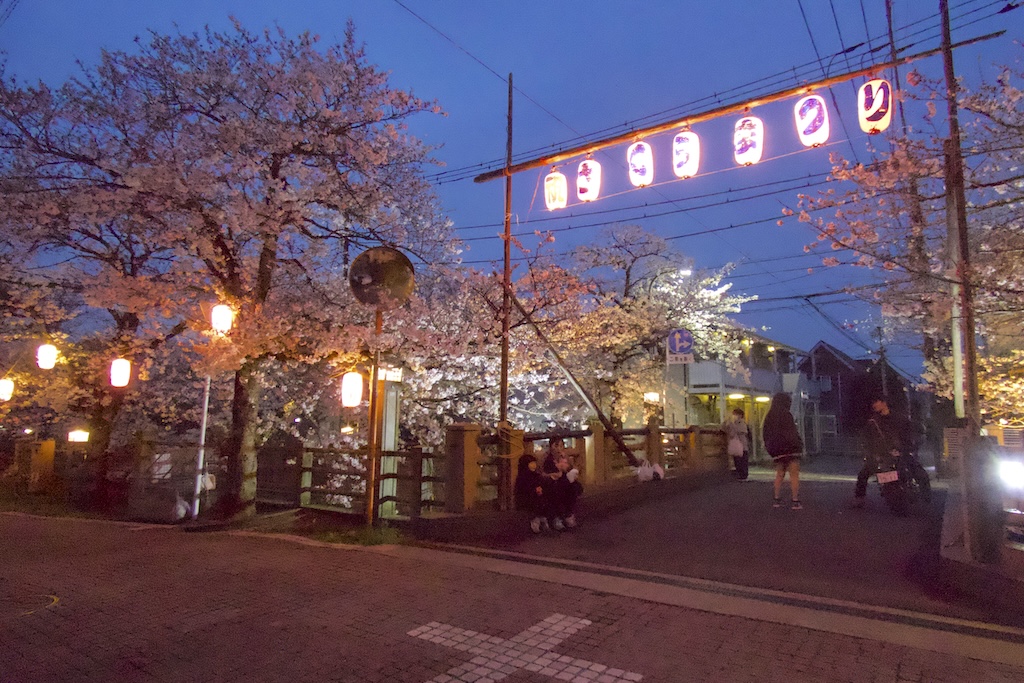「祝さくらまつり」ゲート（得栄橋）